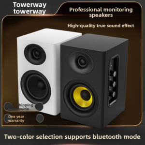 Towerway DM-30 Active DJ Monitor Speakers product image