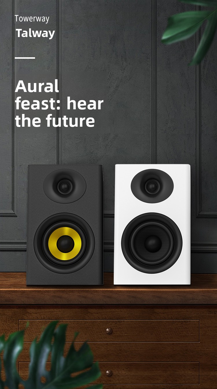 Towerway DM-30 Active DJ Monitor Speakers