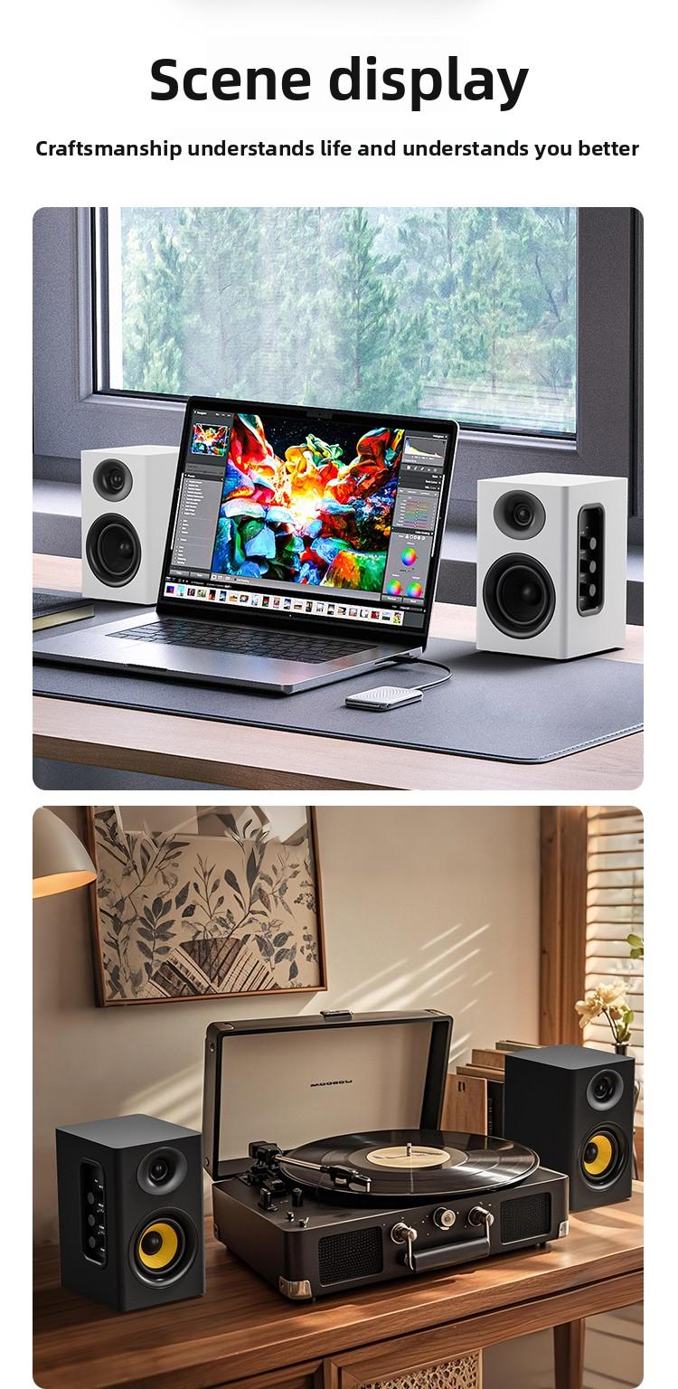Towerway DM-30 Active DJ Monitor Speakers